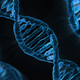 Image for article titled Microsoft Makes Breakthrough in the Quest to Use DNA as Data Storage